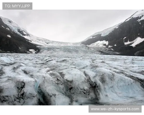 _极地冰原跑：感受极寒中的坚韧与速度_，极地冰原路线图高清
